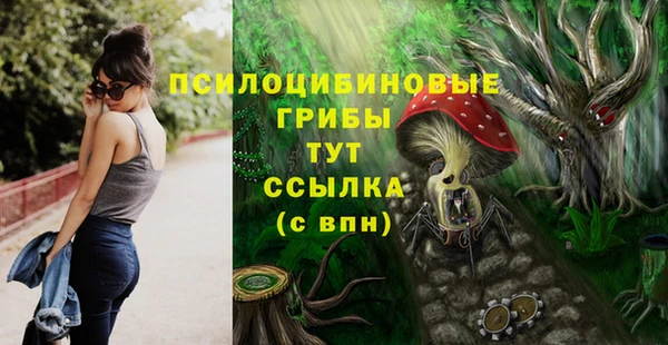 скорость Корсаков