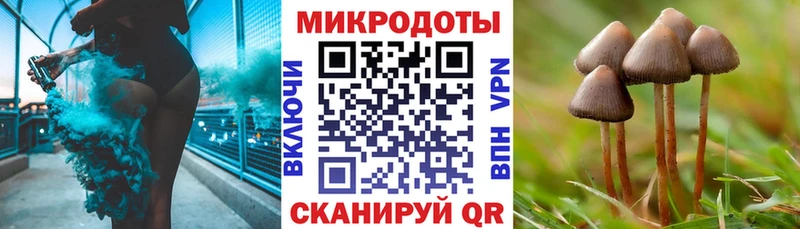 Псилоцибиновые грибы мухоморы  KRAKEN ссылка  Рыльск 